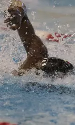 Swimming and Diving Team Ranked in Top 20