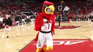 Louisville Places 378 Student-Athletes on the ACC Honor Roll