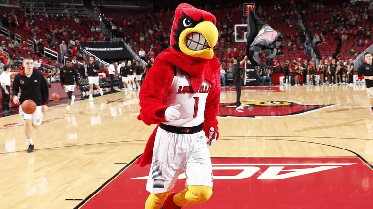 Louisville Places 378 Student-Athletes on the ACC Honor Roll