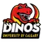 University of Calgary Logo