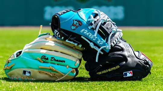 COASTAL BASEBALL GLOVES
