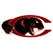 Claflin University Logo