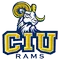 Columbia International University Logo