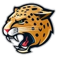 IU Indy Logo