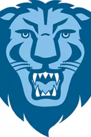 Lions Head Logo Gameday