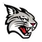 Davidson College Logo