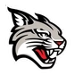 Davidson College Logo