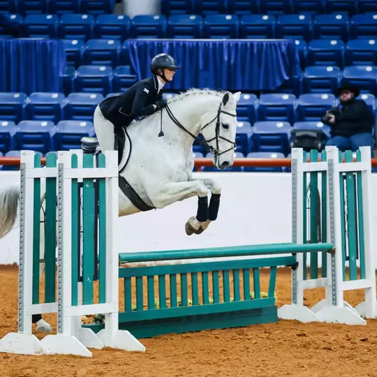 No. 7 TCU Falls to No. 6 Oklahoma State on the Road Image