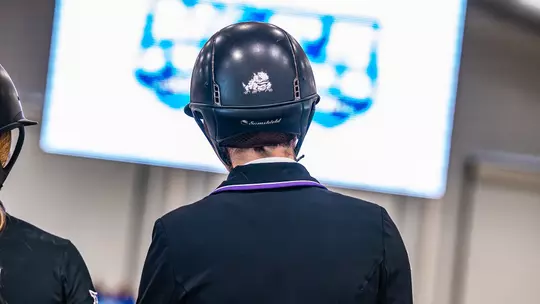 Photo of the back of a jumping seat riders helmet