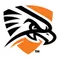 Texas Permian Basin Logo