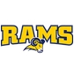 Texas Wesleyan University Logo