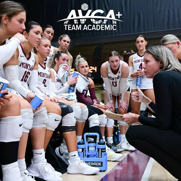 AVCA Team Academic Award