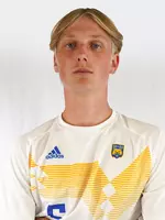 Heynen