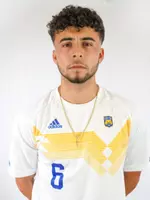 Ibarra