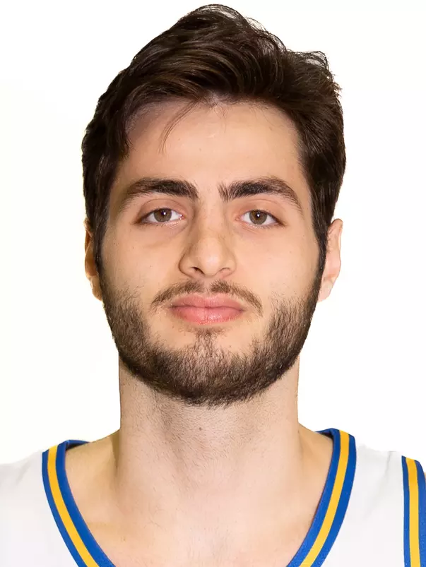 Vladimer Salaridze