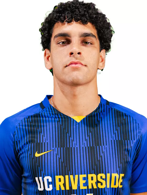 Tarek Hamideh