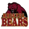 Bristol University Logo
