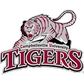 Campbellsville University (Ky.) Logo