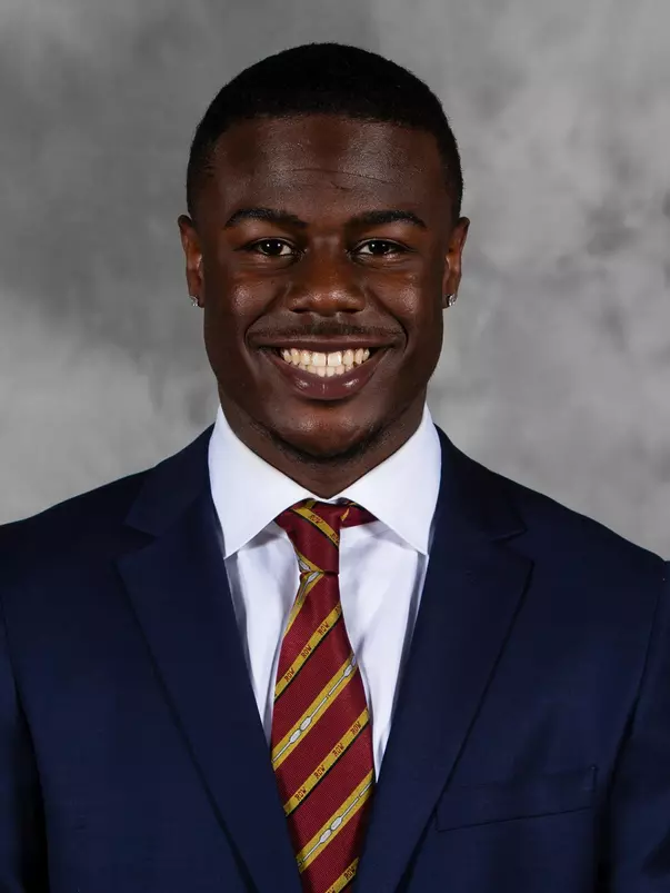 gophers wide receiver Tyler Johnson (6)