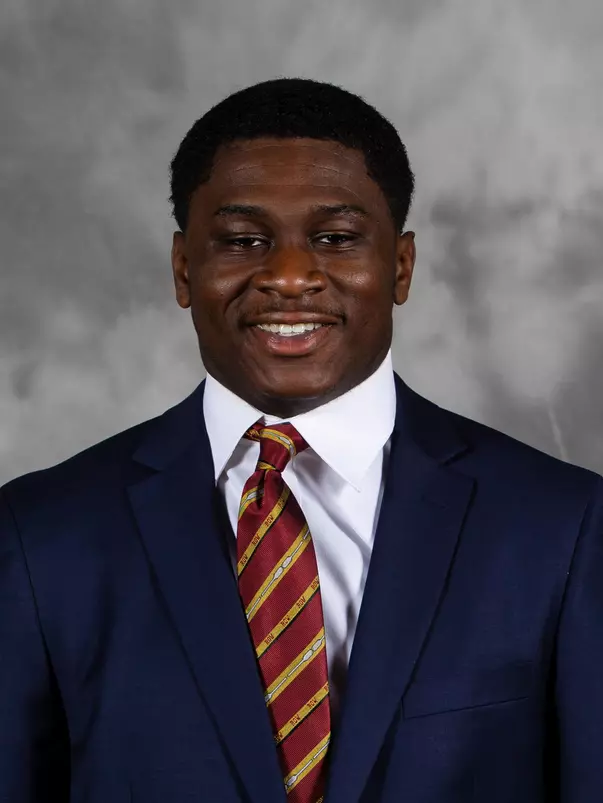 gophers linebacker Donald Willis (20)