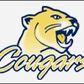 Illinois Central College Logo