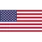 United States of America Logo