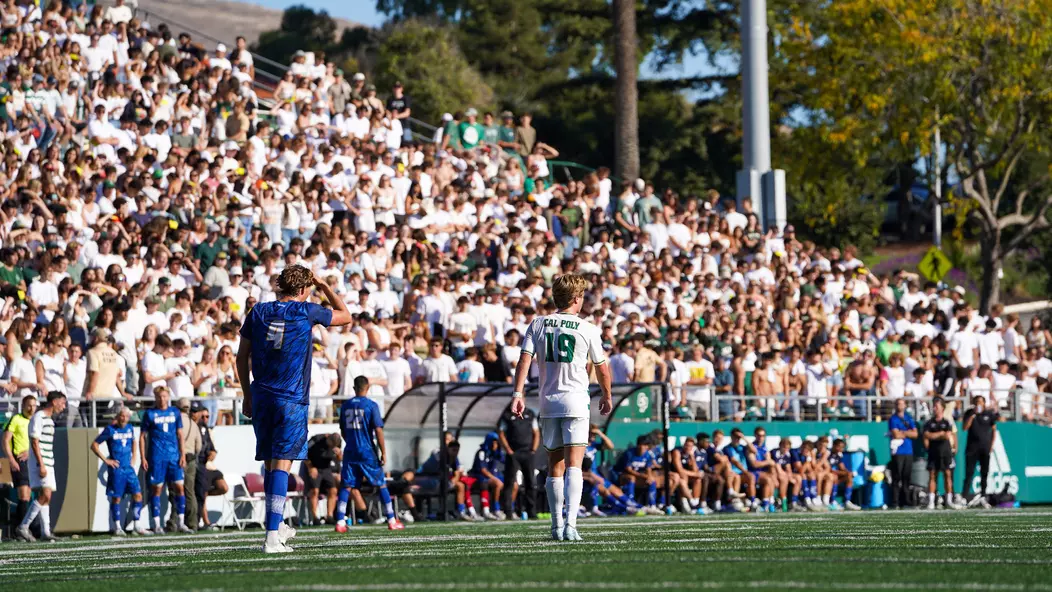 UCSB Crowd2 2024 (Main)