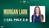Morgan Lark Coaching Graphic