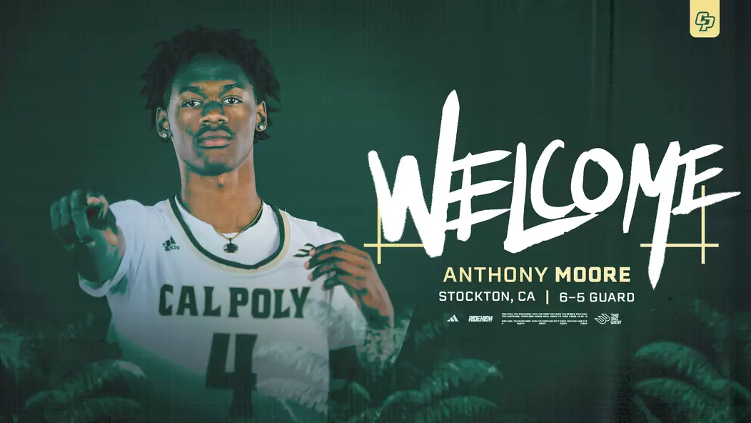 Moore Addition Web