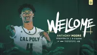 Moore Addition Web