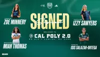 Women's Soccer Web Transfers Graphic