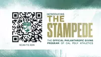 The Stampede Web Graphic