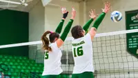Kelly and Murdoch Blocking vs Stanford (2026)
