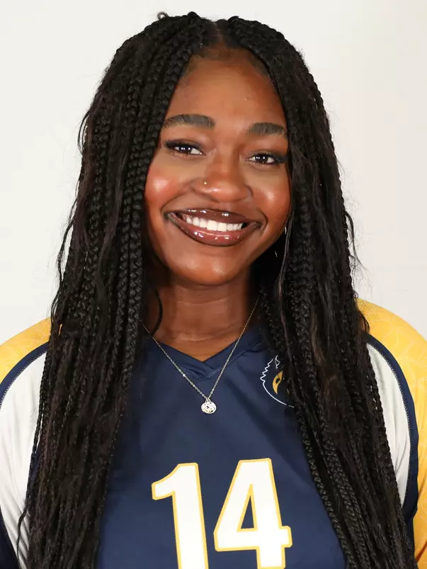 Chisom Okaforize