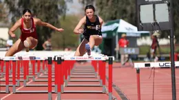 wtrack 041226