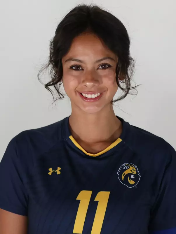 wsoc headshots 2026