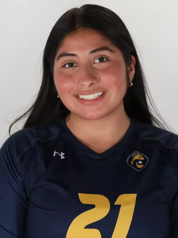 wvb headshots 2026