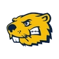 Buena Vista University Logo