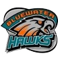 Bluewater Hawks logo