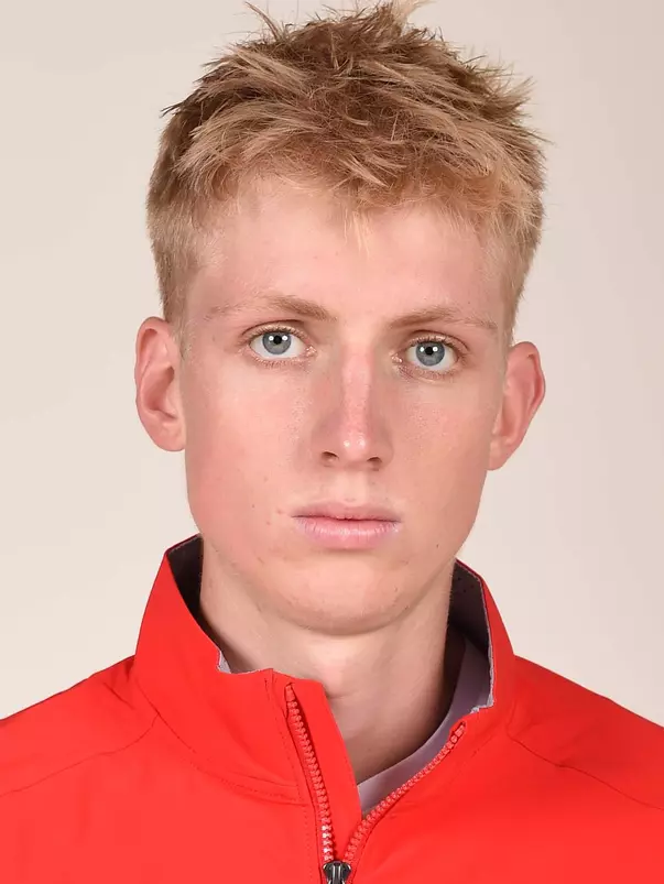 Alex von Schwerdtner