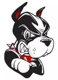 Rhett Head - Headshot