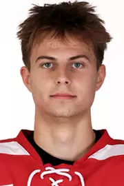 Kamil Bednarik Head Shot