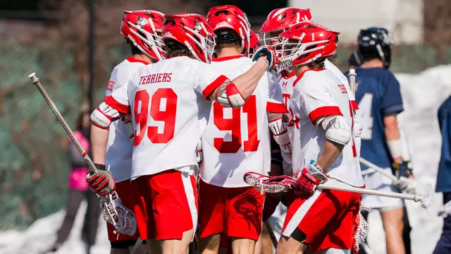 Men's lacrosse players celebrating a goal
