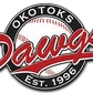 okotoks baseball logo