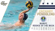 Pendolino Tabbed MAWPC Rookie of the Week