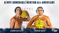 Destici, Mavis Claim All-American Honors