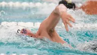 Swimming & Diving Cruises to Victories over UMBC