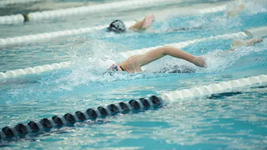 Women's swimming & diving swimming freestyle at Smith