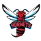 Delaware State University Logo