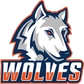 Western Connecticut State Logo